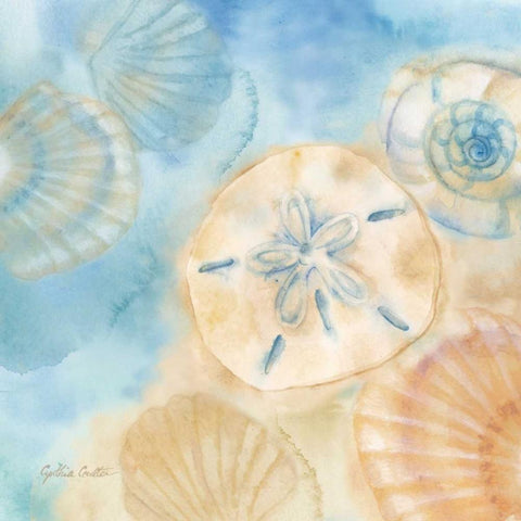 Watercolor Shells III White Modern Wood Framed Art Print by Coulter, Cynthia