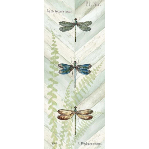 Dragonfly Botanical Panels I Black Modern Wood Framed Art Print with Double Matting by Tre Sorelle Studios