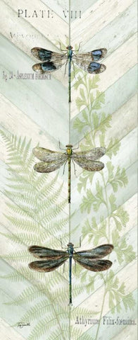 Dragonfly Botanical Panels II White Modern Wood Framed Art Print with Double Matting by Tre Sorelle Studios