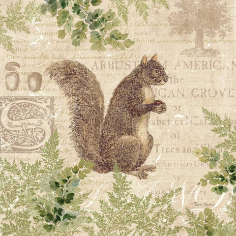 Woodland Trail III - squirrel  White Modern Wood Framed Art Print with Double Matting by Gladding, Pamela