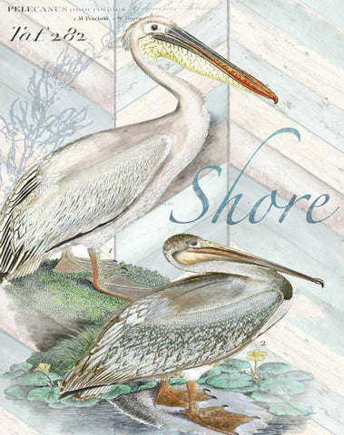 Shore Birds I White Modern Wood Framed Art Print with Double Matting by Tre Sorelle Studios