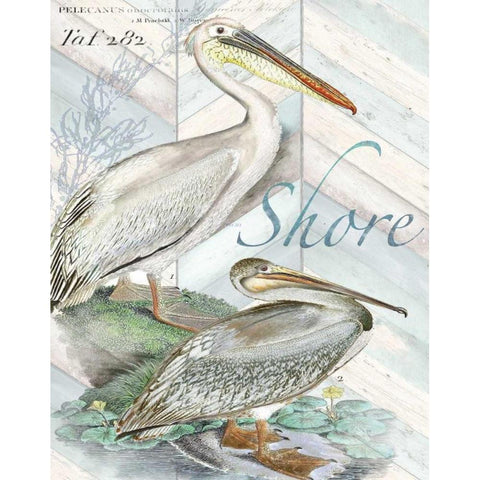 Shore Birds I Black Modern Wood Framed Art Print with Double Matting by Tre Sorelle Studios