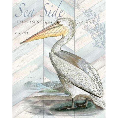 Shore Birds II White Modern Wood Framed Art Print by Tre Sorelle Studios