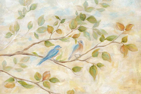 Blue Birds Branch White Modern Wood Framed Art Print with Double Matting by Coulter, Cynthia