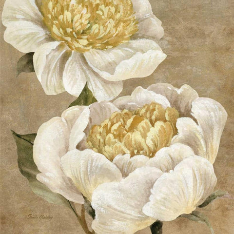 Up Close Cream Peony White Modern Wood Framed Art Print with Double Matting by Gladding, Pamela