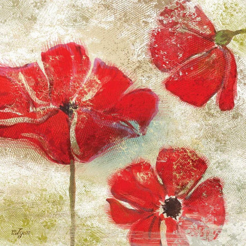 Poppy Passion I Black Modern Wood Framed Art Print with Double Matting by Lyon, Rebecca