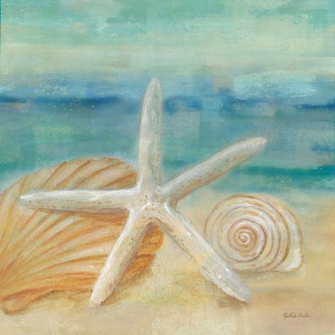 Horizon Shells I  White Modern Wood Framed Art Print with Double Matting by Coulter, Cynthia