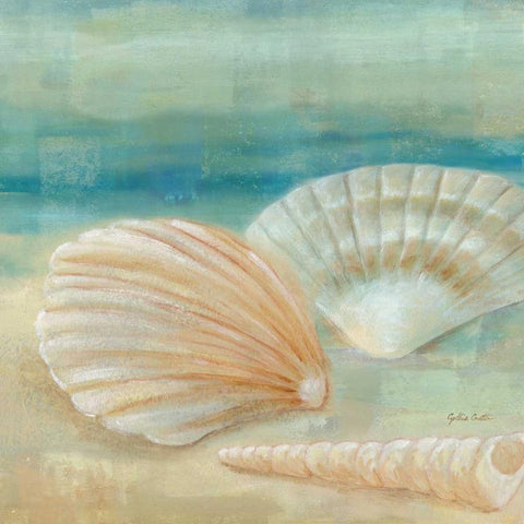 Horizon Shells IV  White Modern Wood Framed Art Print by Coulter, Cynthia