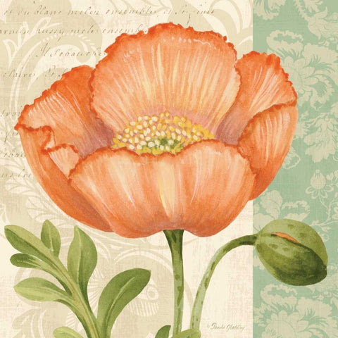 Pastel Poppies II Black Modern Wood Framed Art Print by Gladding, Pamela