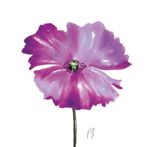 Poppies Tempo III White Modern Wood Framed Art Print by Gladding, Pamela