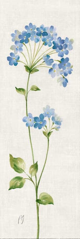 Airy Blues I White Modern Wood Framed Art Print with Double Matting by Gladding, Pamela