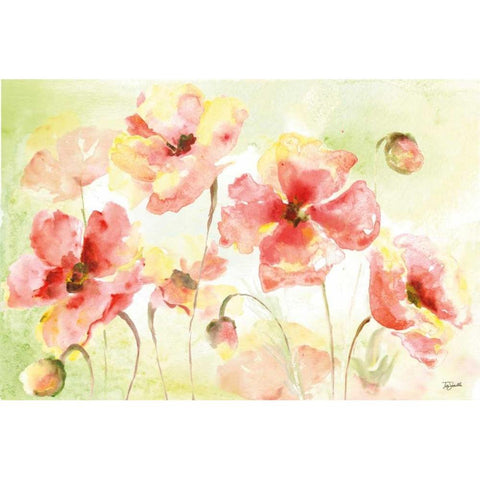 Pale Pink Poppies Landscape Gold Ornate Wood Framed Art Print with Double Matting by Tre Sorelle Studios