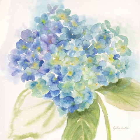 Painted Hydrangeas II Black Modern Wood Framed Art Print with Double Matting by Coulter, Cynthia