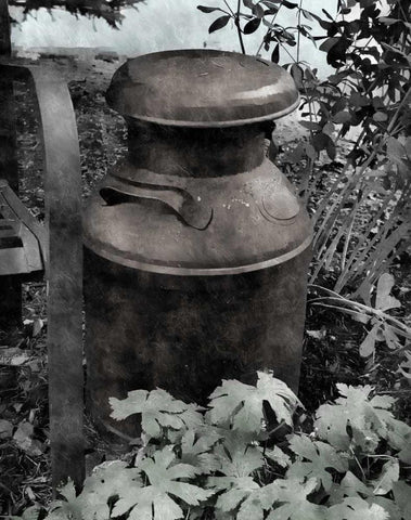 On the Farm II White Modern Wood Framed Art Print with Double Matting by Romita, Denise