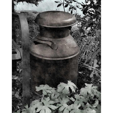 On the Farm II Black Modern Wood Framed Art Print by Romita, Denise