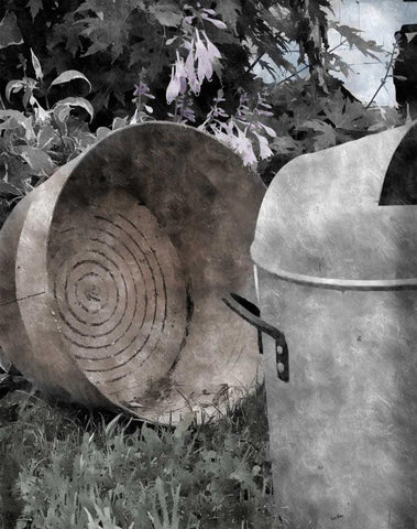 On the Farm IV Black Ornate Wood Framed Art Print with Double Matting by Romita, Denise