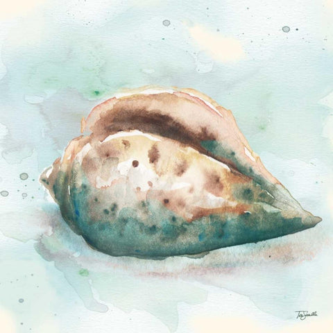 Watercolor Shells I White Modern Wood Framed Art Print by Tre Sorelle Studios