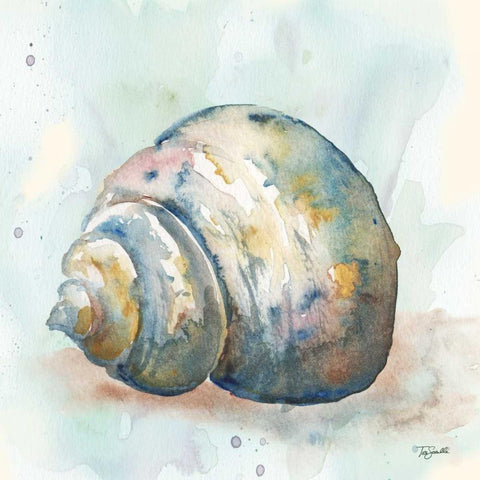 Watercolor Shells IV White Modern Wood Framed Art Print by Tre Sorelle Studios