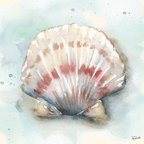 Watercolor Shells VI Black Modern Wood Framed Art Print with Double Matting by Tre Sorelle Studios