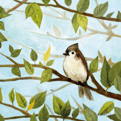 Morning Song II White Modern Wood Framed Art Print by Milan, Vittorio