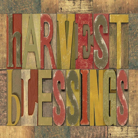 Harvest Blessings Printer Block Black Modern Wood Framed Art Print with Double Matting by Reed, Tara