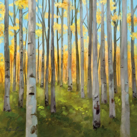 Birch Woods I White Modern Wood Framed Art Print by Milan, Vittorio
