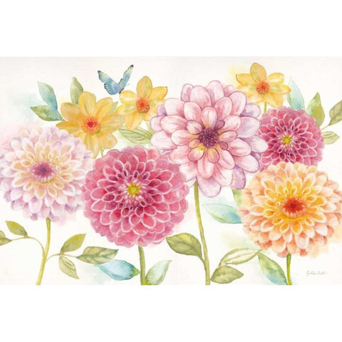 Dahlia Garden Landscape Black Modern Wood Framed Art Print with Double Matting by Coulter, Cynthia