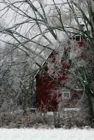 Sheltered White Modern Wood Framed Art Print with Double Matting by Romita, Denise