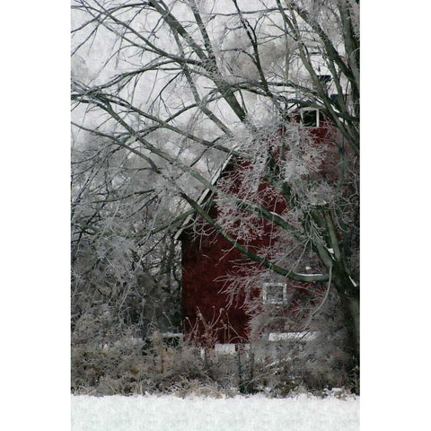 Sheltered Black Modern Wood Framed Art Print by Romita, Denise