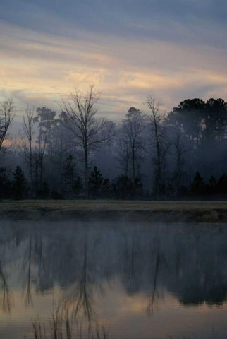 Misty Morning White Modern Wood Framed Art Print with Double Matting by Romita, Denise