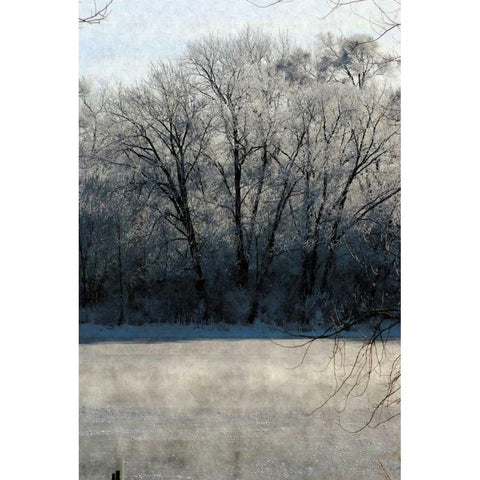 Ice Mist Black Modern Wood Framed Art Print with Double Matting by Romita, Denise