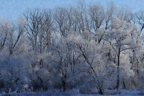 Ice Land White Modern Wood Framed Art Print with Double Matting by Romita, Denise