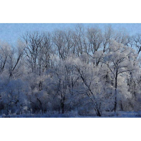 Ice Land Gold Ornate Wood Framed Art Print with Double Matting by Romita, Denise