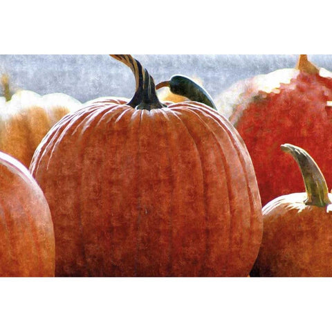 Fall Pumpkin White Modern Wood Framed Art Print by Romita, Denise