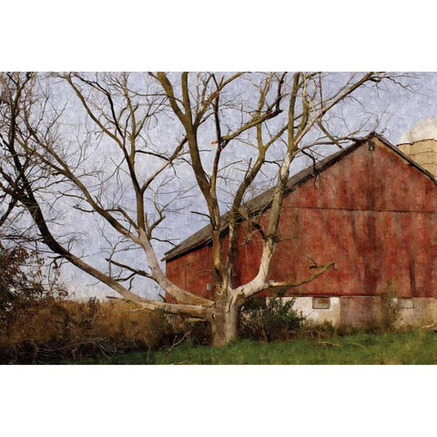 The Old Barn Gold Ornate Wood Framed Art Print with Double Matting by Romita, Denise