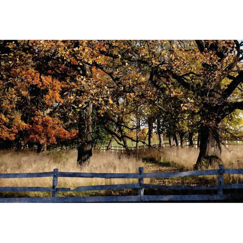 Fenced In White Modern Wood Framed Art Print by Romita, Denise
