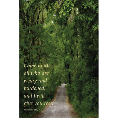 Through the Trees I Black Modern Wood Framed Art Print by Romita, Denise