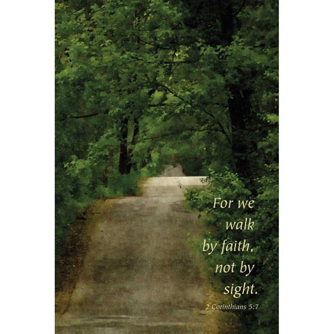 Through the Trees II Black Modern Wood Framed Art Print with Double Matting by Romita, Denise