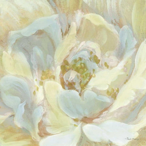 Classic Floral Study I Black Modern Wood Framed Art Print by Gladding, Pamela