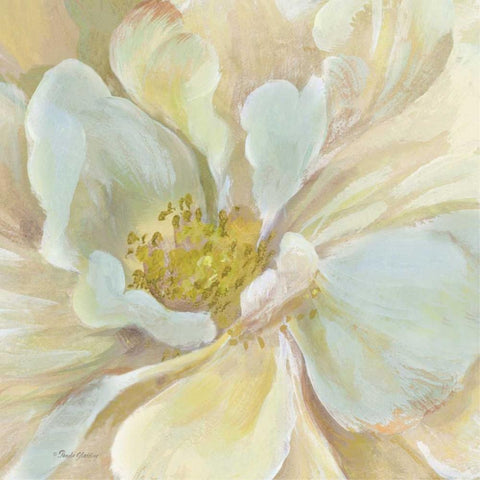 Classic Floral Study II Black Modern Wood Framed Art Print with Double Matting by Gladding, Pamela