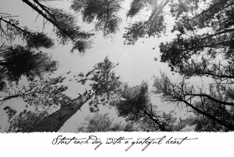 Start Each Day Black Ornate Wood Framed Art Print with Double Matting by Romita, Denise