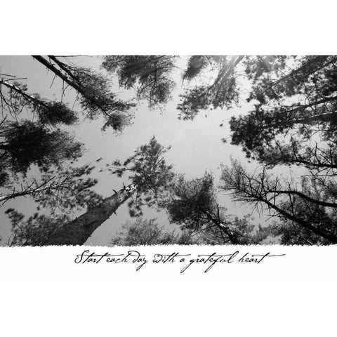 Start Each Day Black Modern Wood Framed Art Print with Double Matting by Romita, Denise