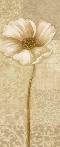 Soft Bloom Panel II Black Ornate Wood Framed Art Print with Double Matting by Gladding, Pamela