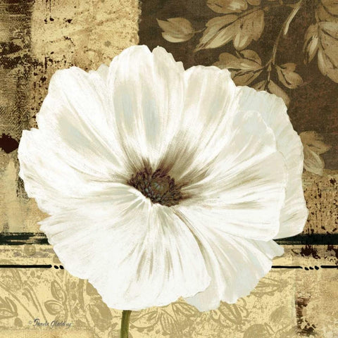 Poppies in Grey II Black Modern Wood Framed Art Print by Gladding, Pamela