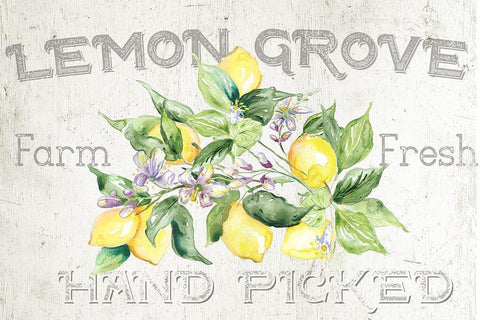 Lemon  Grove I White Modern Wood Framed Art Print with Double Matting by Tre Sorelle Studios