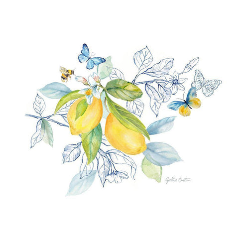 Lemon Sketch Book II White Modern Wood Framed Art Print with Double Matting by Coulter, Cynthia