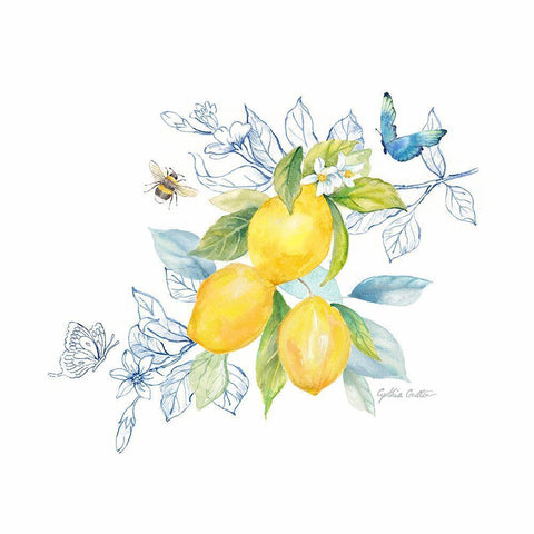 Lemon Sketch Book III White Modern Wood Framed Art Print with Double Matting by Coulter, Cynthia
