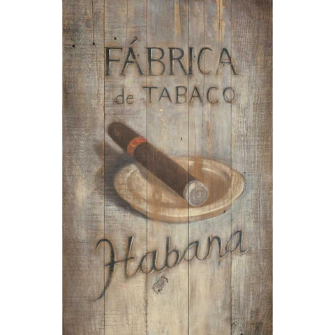 Fabrica de Tabaco Black Modern Wood Framed Art Print with Double Matting by Fisk, Arnie