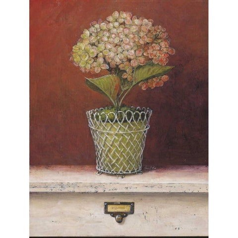 Hydrangea Study Gold Ornate Wood Framed Art Print with Double Matting by Fisk, Arnie