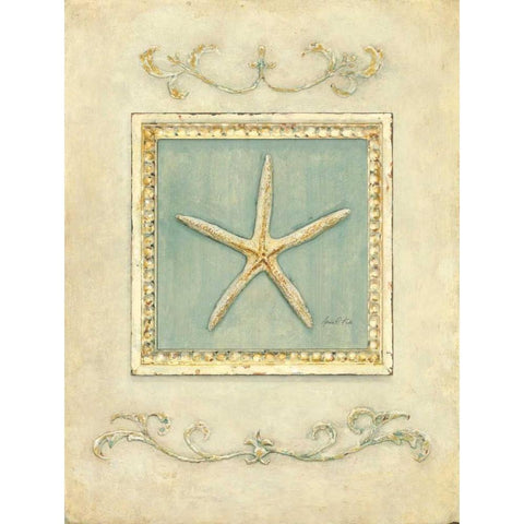 Classic Starfish   Black Modern Wood Framed Art Print with Double Matting by Fisk, Arnie